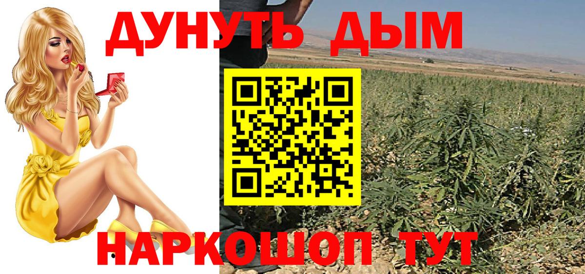 Бошки Шишки Amnesia Киржач